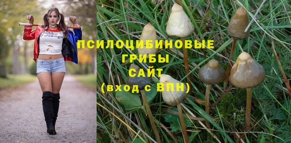 мяу мяу кристалл Новодвинск