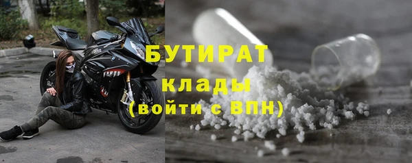 трава Новозыбков