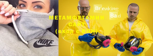 трава Новозыбков