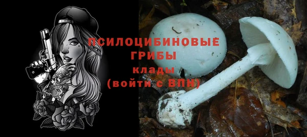 мяу мяу кристалл Новодвинск