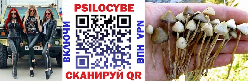 мориарти телеграм  Торопец  Псилоцибиновые грибы MAGIC MUSHROOMS 
